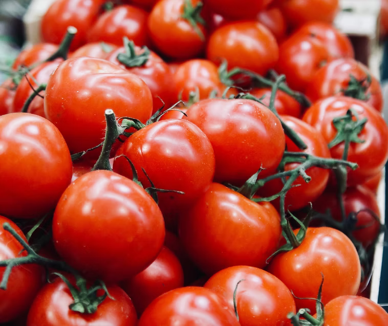 Tomatoes